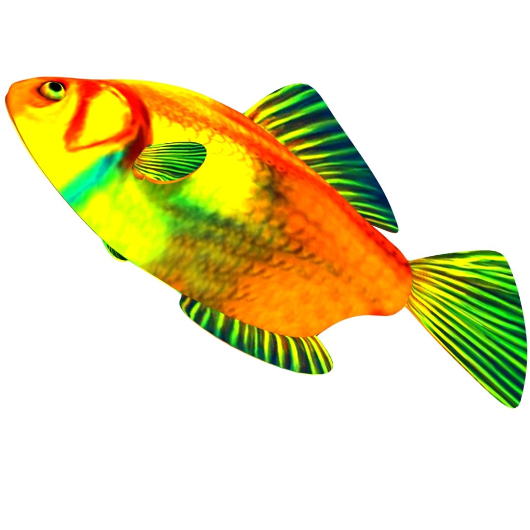 fish nature animal model https://p.turbosquid.com/ts-thumb/Qn/j1xUrX/fZYM1wKd/8/jpg/1591605755/1920x1080/fit_q87/261bfe1806129ca4b624c1e693c2d8d49e3c69fb/8.jpg