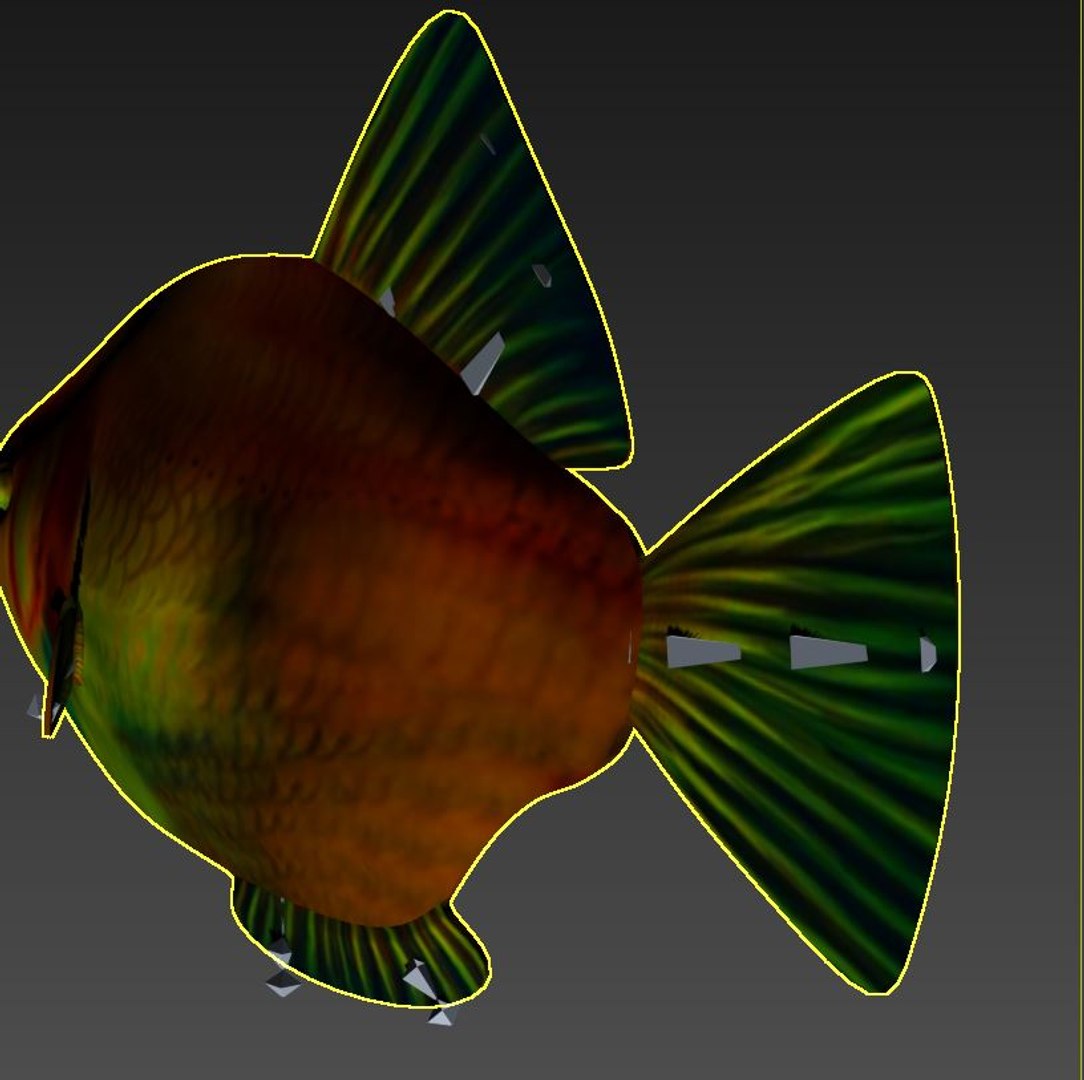 fish nature animal model https://p.turbosquid.com/ts-thumb/Qn/j1xUrX/h8t6Xpj1/6/jpg/1591605716/1920x1080/fit_q87/b23ed494cf45661c0aea1075d02d4aa1eced2853/6.jpg