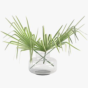 palm 3D