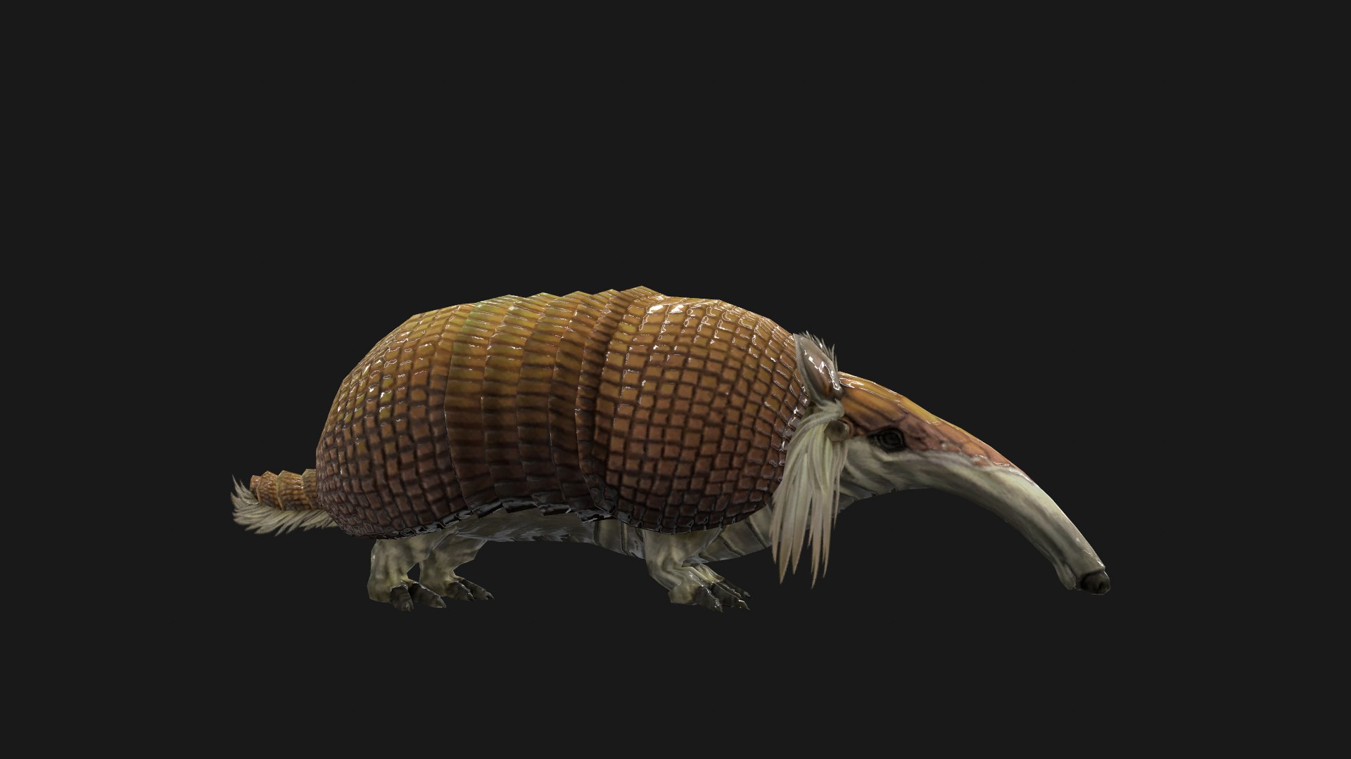 Armadillo 3D - TurboSquid 2184683