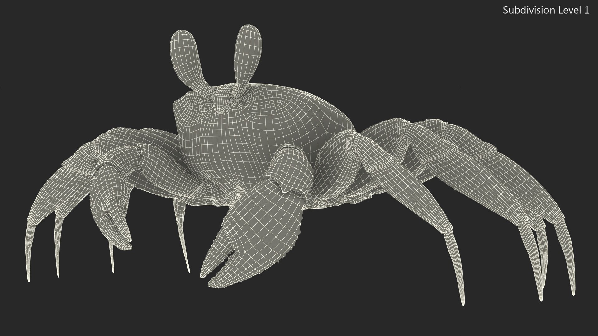 3D Atlantic Beach Crab Black Fur Rigged for Maya https://p.turbosquid.com/ts-thumb/Qo/5rsWLO/Mo/atlantic_beach_crab_black_fur_rigged_015/jpg/1751541627/1920x1080/fit_q87/7ef1bf174d8359ea060358a2283a74392b506110/atlantic_beach_crab_black_fur_rigged_015.jpg