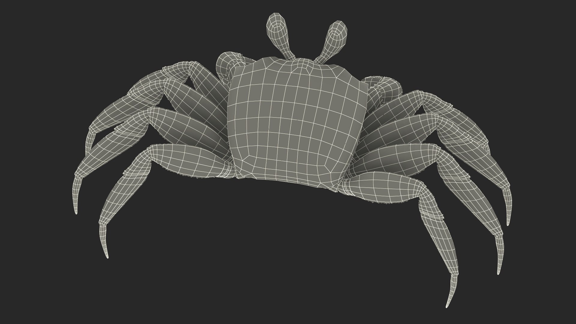 3D Atlantic Beach Crab Black Fur Rigged for Maya https://p.turbosquid.com/ts-thumb/Qo/5rsWLO/TJ/atlantic_beach_crab_black_fur_rigged_019/jpg/1751541642/1920x1080/fit_q87/d877b96e607ad76c15967c15eb94a2e3d5514fd3/atlantic_beach_crab_black_fur_rigged_019.jpg