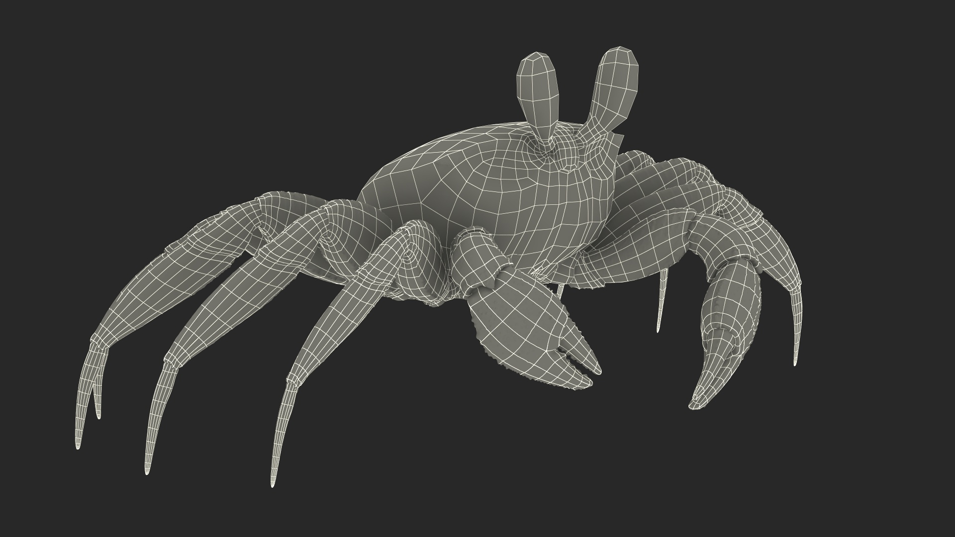 3D Atlantic Beach Crab Black Fur Rigged for Maya https://p.turbosquid.com/ts-thumb/Qo/5rsWLO/hl/atlantic_beach_crab_black_fur_rigged_361/jpg/1751541424/1920x1080/turn_fit_q99/bf187805ec2b7230de011143e6306d37e449e398/atlantic_beach_crab_black_fur_rigged_361-1.jpg
