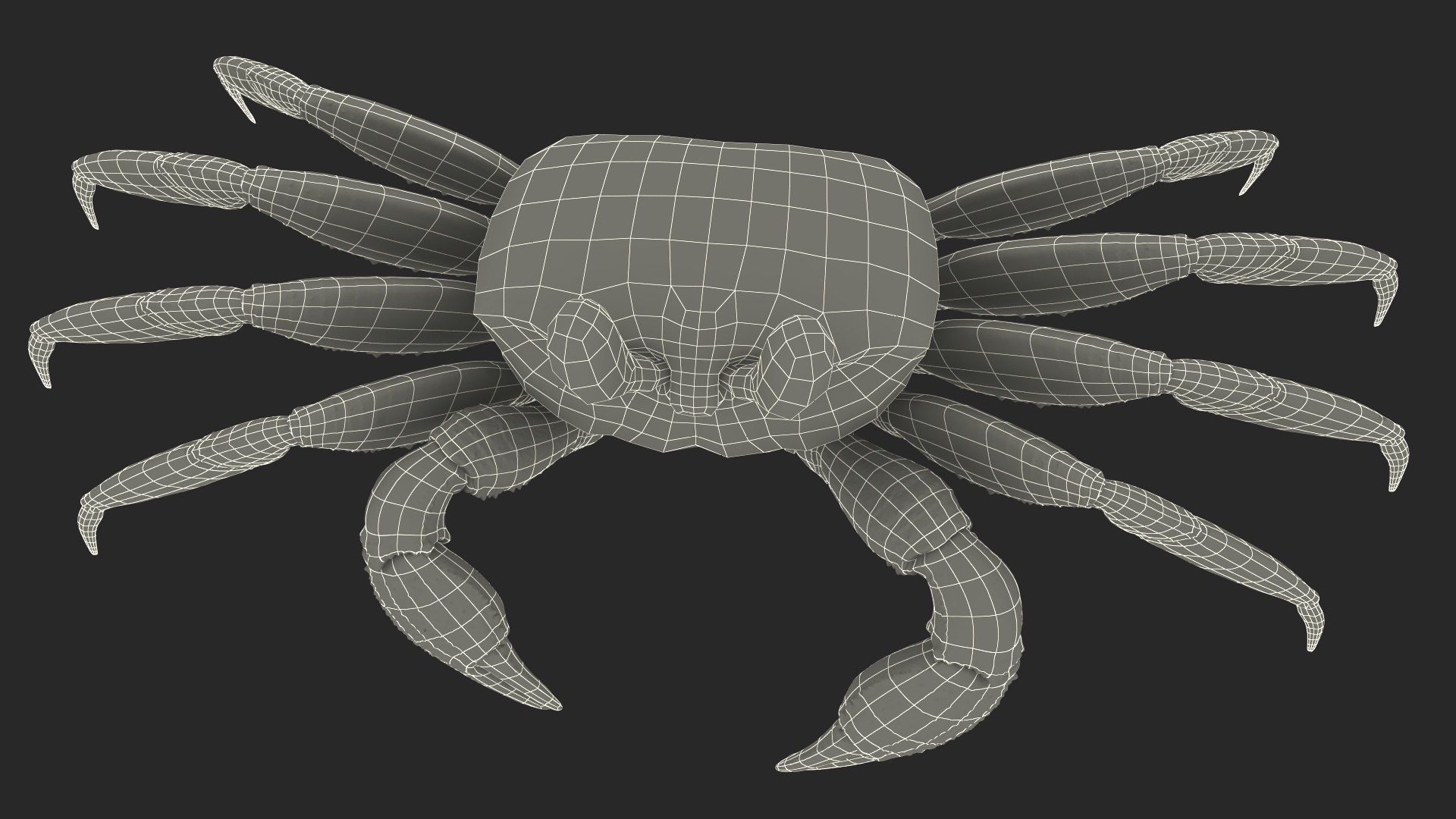 3D Atlantic Beach Crab Black Fur Rigged for Maya https://p.turbosquid.com/ts-thumb/Qo/5rsWLO/qZ/atlantic_beach_crab_black_fur_rigged_020/jpg/1751541646/1920x1080/fit_q87/30e61aa2d3434120768031a36a663157b6ee1371/atlantic_beach_crab_black_fur_rigged_020.jpg