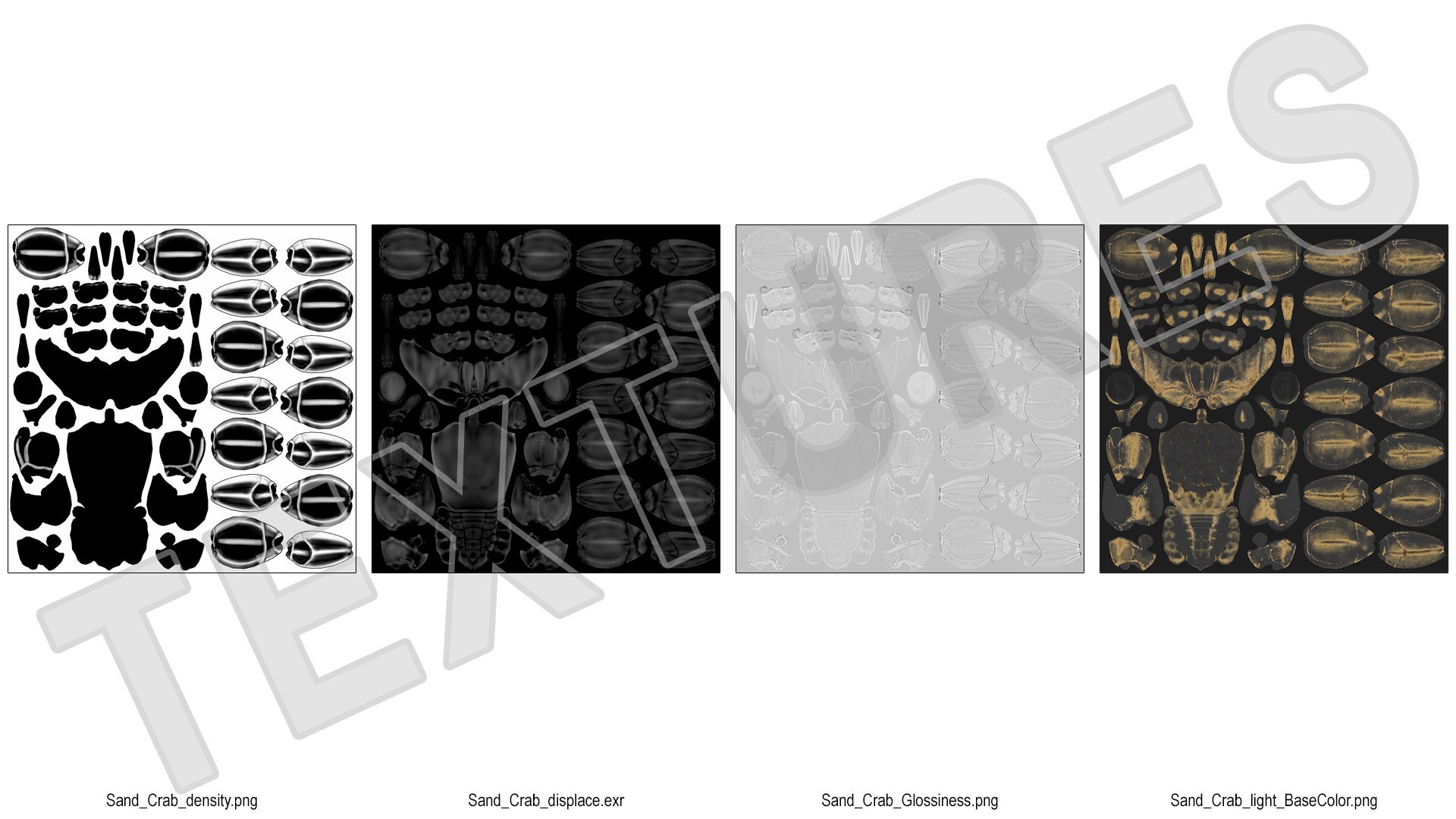 3D Atlantic Beach Crab Black Fur Rigged for Maya https://p.turbosquid.com/ts-thumb/Qo/5rsWLO/yF/atlantic_beach_crab_black_fur_rigged_017/jpg/1751541635/1920x1080/fit_q87/85123f0bd14f65b4763f992f4aad163f684b6288/atlantic_beach_crab_black_fur_rigged_017.jpg