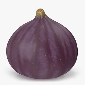 Ripe Fig Fruit model