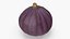 Ripe Fig Fruit(1)