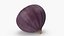 Ripe Fig Fruit(1)