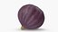 Ripe Fig Fruit(1)