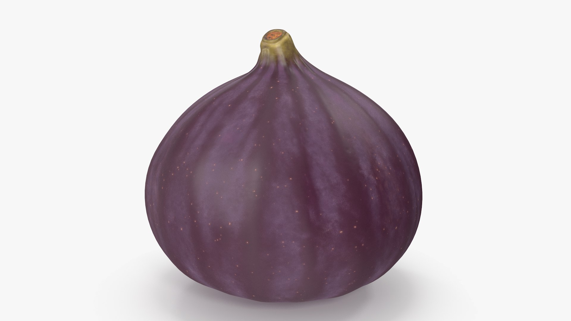 Ripe Fig Fruit(1) 3D model preview