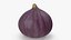 Ripe Fig Fruit(1)