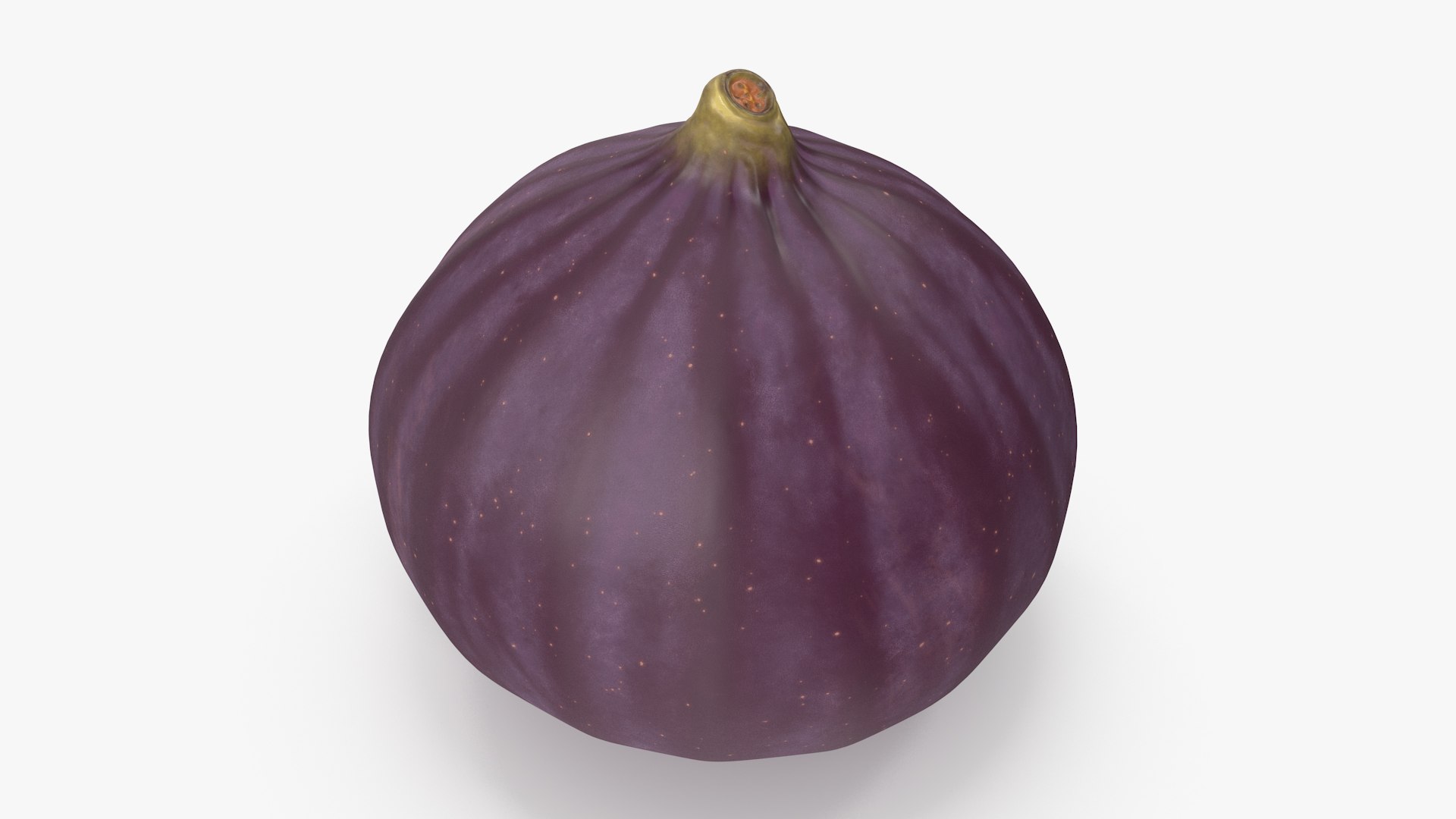 Ripe Fig Fruit model https://p.turbosquid.com/ts-thumb/Qo/8E4IHv/r3/ripefigfruit3dmodel008/jpg/1681140173/1920x1080/fit_q87/66ef46d9be83905209d30a177179913064466646/ripefigfruit3dmodel008.jpg