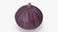 Ripe Fig Fruit(1)