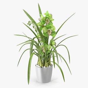3D Orchid Pot Green