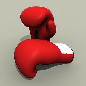 TS Boxing Gloves