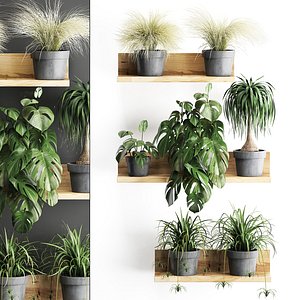 Plant set wall decor vertical garden 48