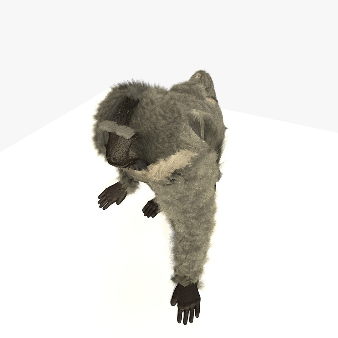 3d C4d Walking Baboon Animations