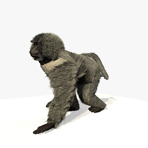 Animated Walking Baboon