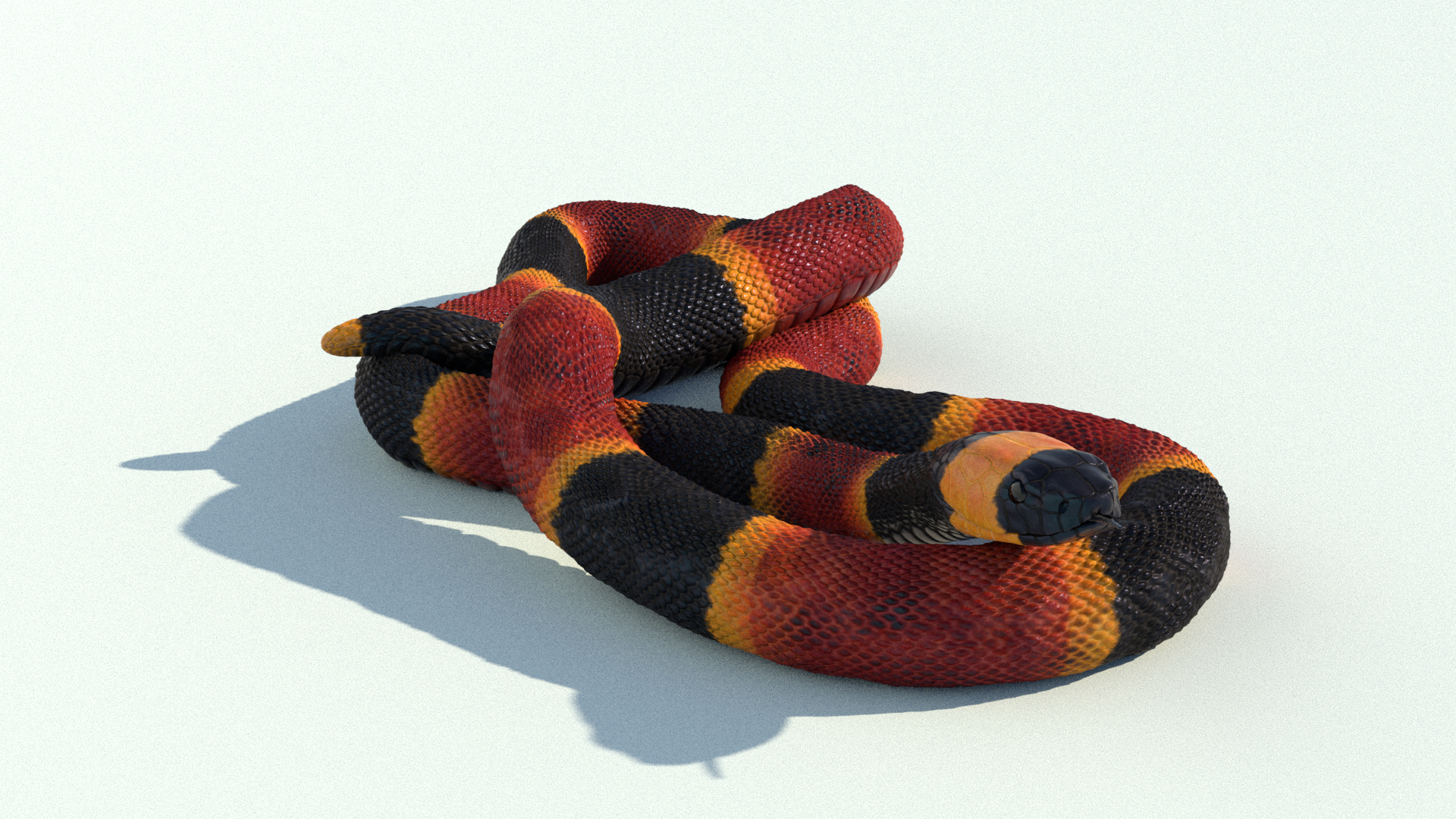 3D Snake Collection Rigged Animated Model - TurboSquid 1768323