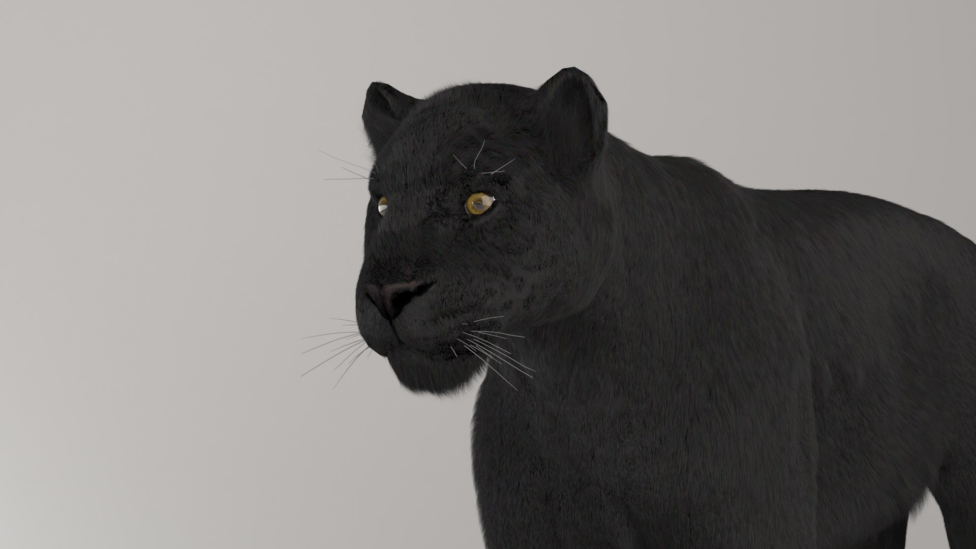 201,778 Black Leopard Images, Stock Photos, 3D objects, & Vectors