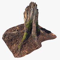 Realistic Forest Tree Stump 06