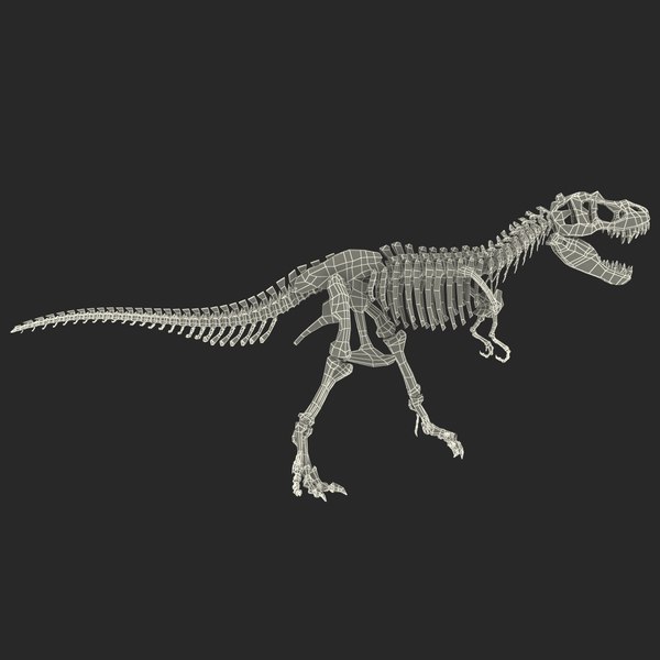 c4d dinosaur t-rex bones 2