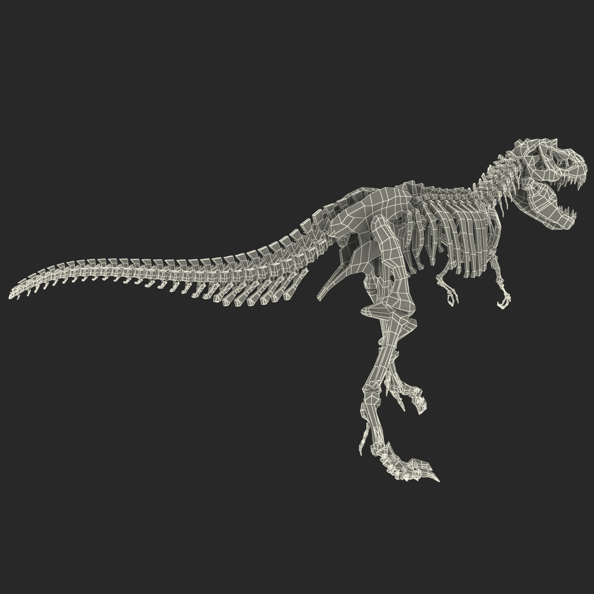 c4d dinosaur t-rex bones 2