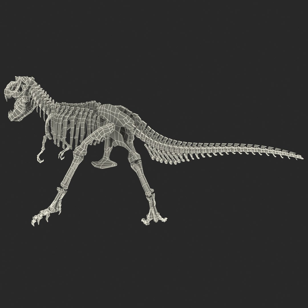 C4d Dinosaur T-rex Bones 2