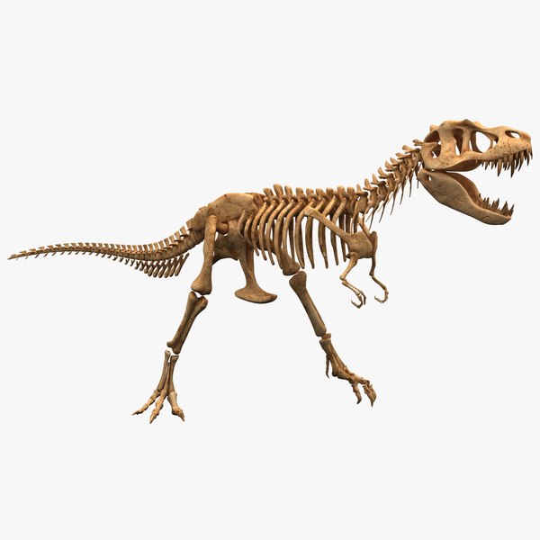 Esqueleto 4d Tiranossauro Rex Grande Dinossauro Para Montar