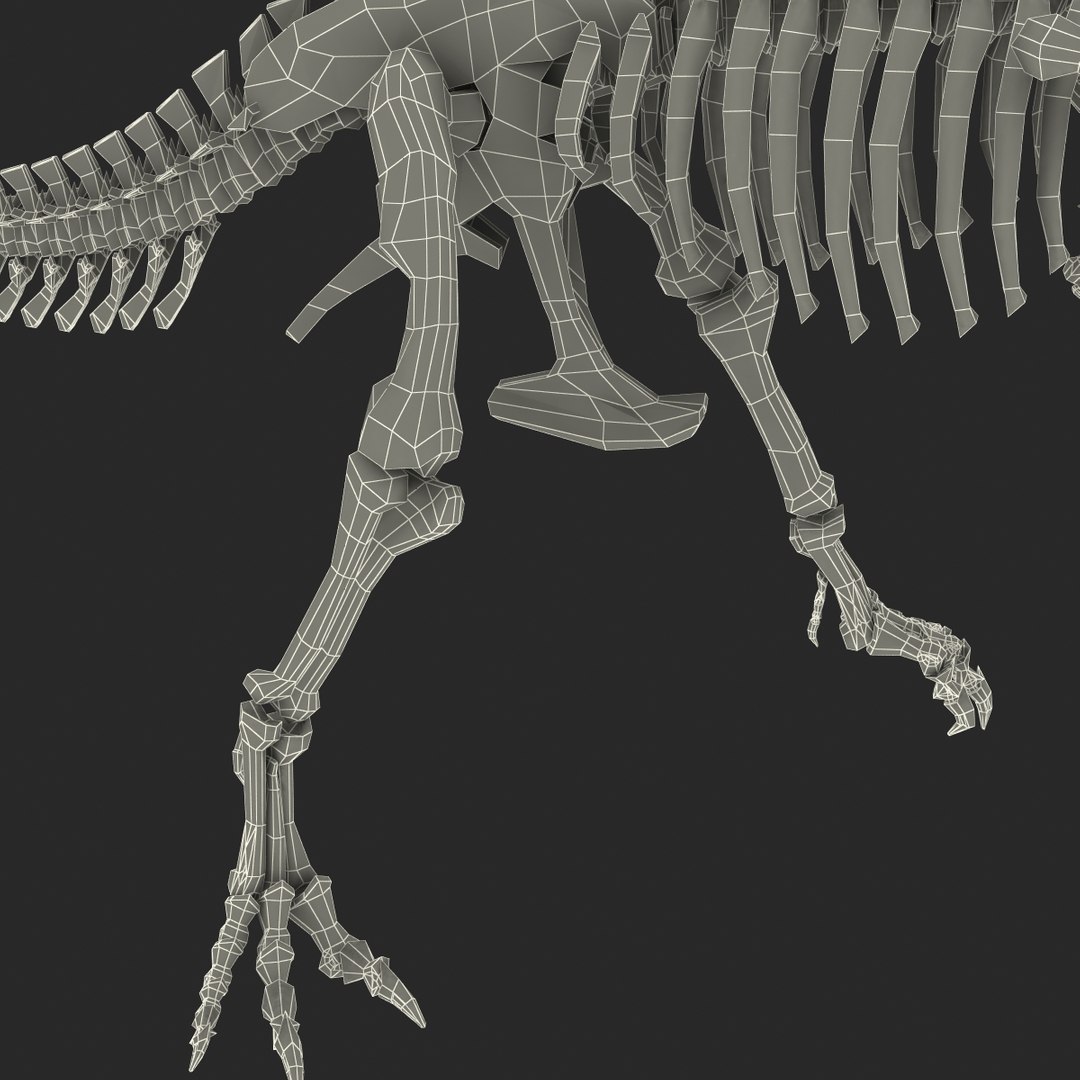 C4d Dinosaur T-rex Bones 2