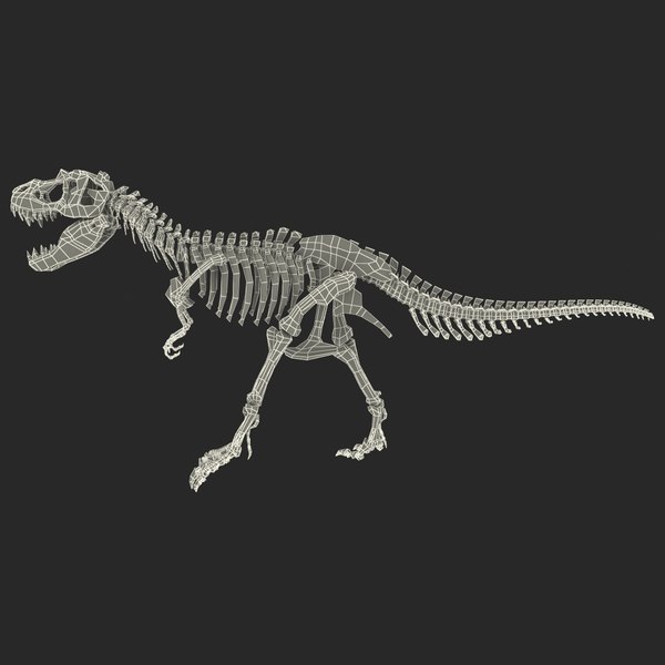 c4d dinosaur t-rex bones 2