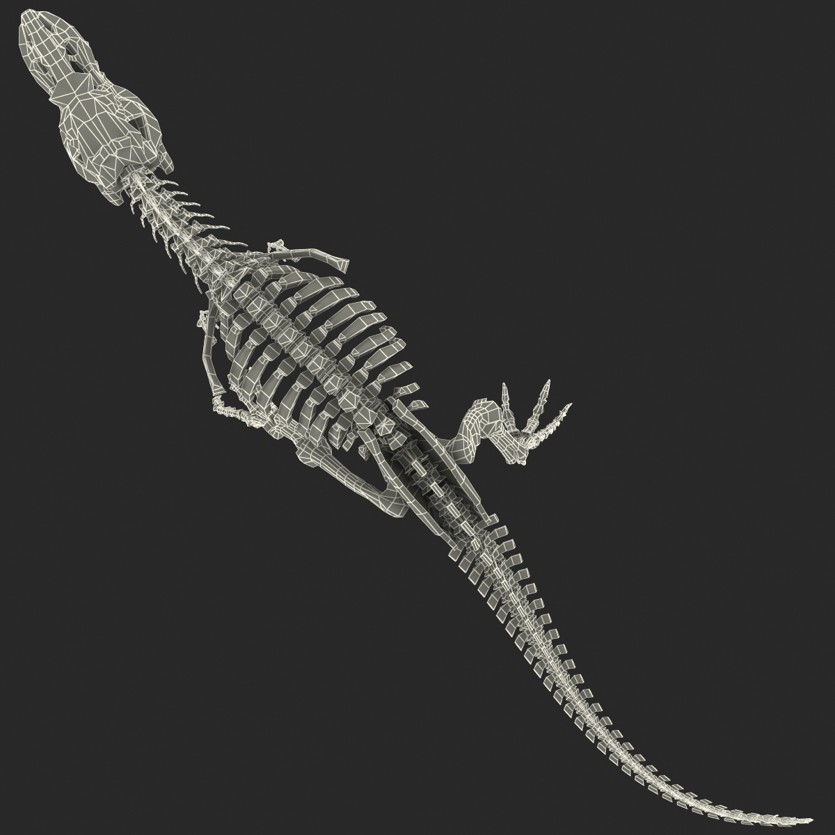 c4d dinosaur t-rex bones 2