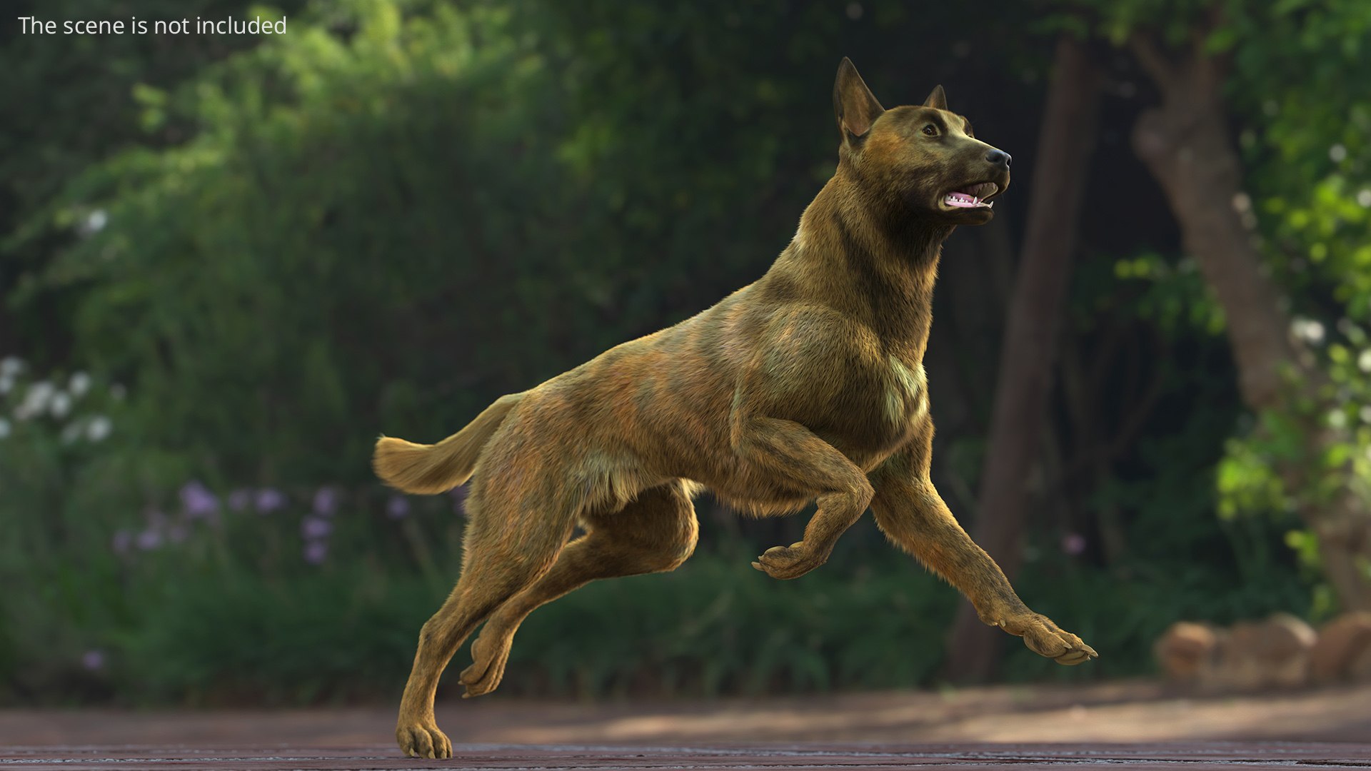 3D model Dutch Herding Dog in Run Pose Gold Brindle Fur https://p.turbosquid.com/ts-thumb/Qo/u1neTm/bv/dutch_herding_dog_in_run_pose_gold_brindle_fur_003/jpg/1755508763/1920x1080/fit_q87/58ed4d0c40fb1760ca0a36ebf7778268f5038685/dutch_herding_dog_in_run_pose_gold_brindle_fur_003.jpg