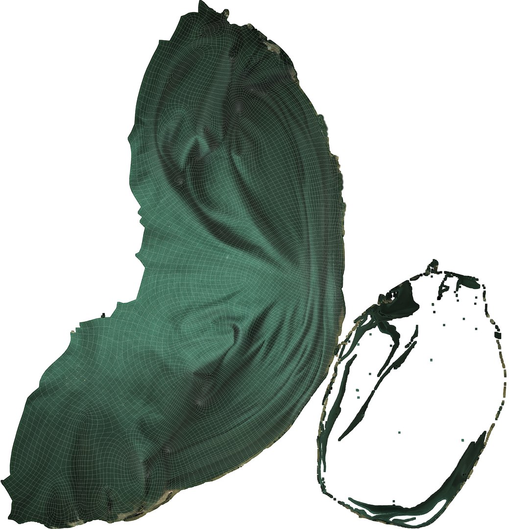 Clothes 329 Headband 3D model https://p.turbosquid.com/ts-thumb/Qp/7IFh0n/wu/uv/jpg/1726073455/1920x1080/fit_q87/75436bdcba42c880d9791a14a73098639f2fbc58/uv.jpg