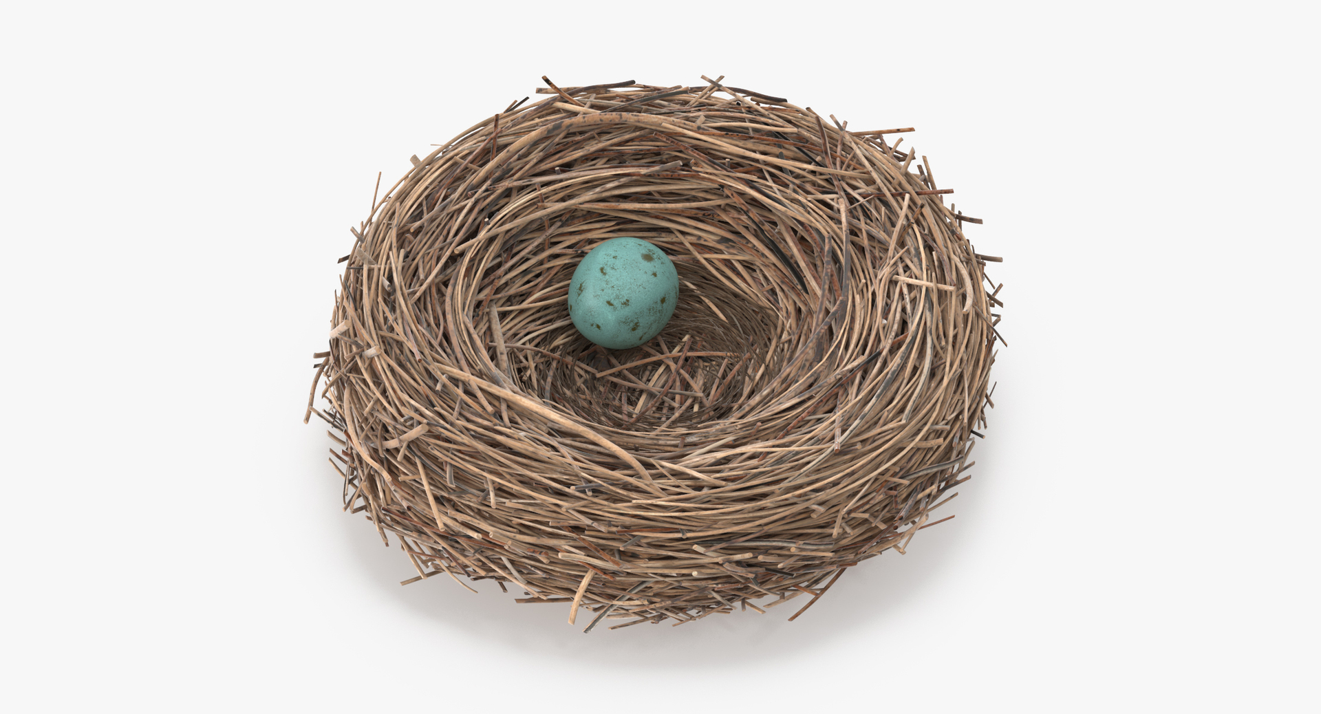 D.・Birds nest＊Ｂ＆Ｇmodel master◇希少◇ 3d Bird Nest 03