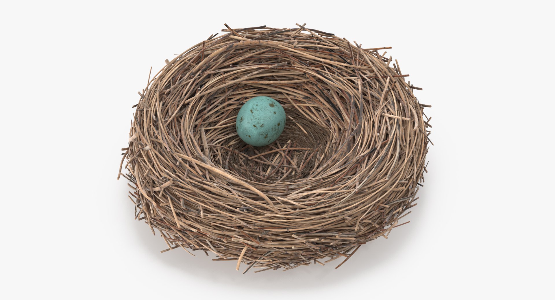 □D・イェンセン□Birds nest◇B＆Gmodel master◇希少◇ Rare D