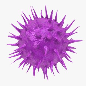 Platelet Thrombocyte (Purple)