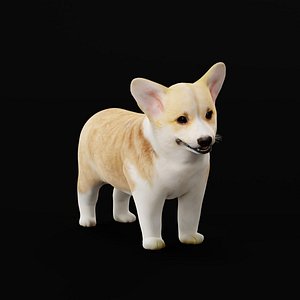 3D model Pembroke Corgi Puppy Dog
