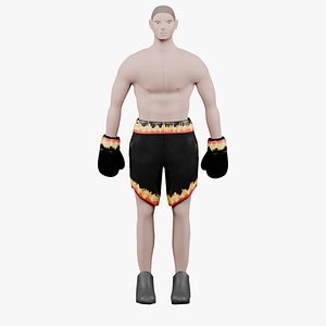 3D Low Poly Boxer - IK Rigged