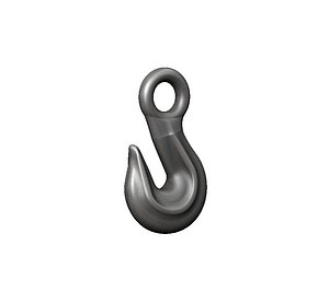 Crane Hook
