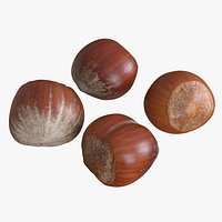 Hazelnuts Unshelled