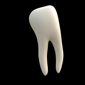 molar tooth 3D model