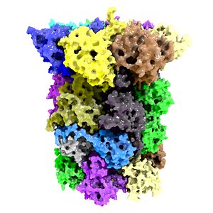 Protein Oxidation and Proteasome Pack
