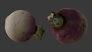 3D Realistic Turnip Vegetable 3D Scan model