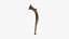 Mongo Sickle Sword