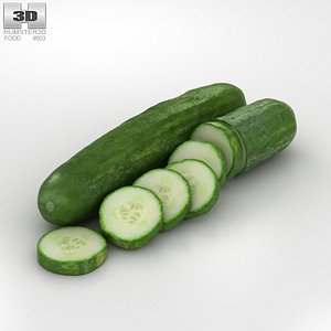 cucumber 3D model