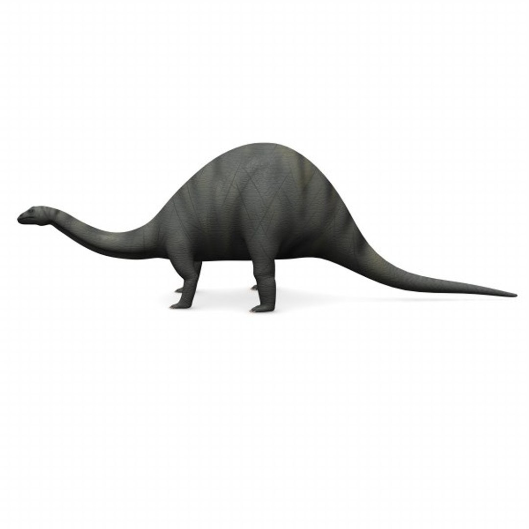 Brontosaurus 3d Model