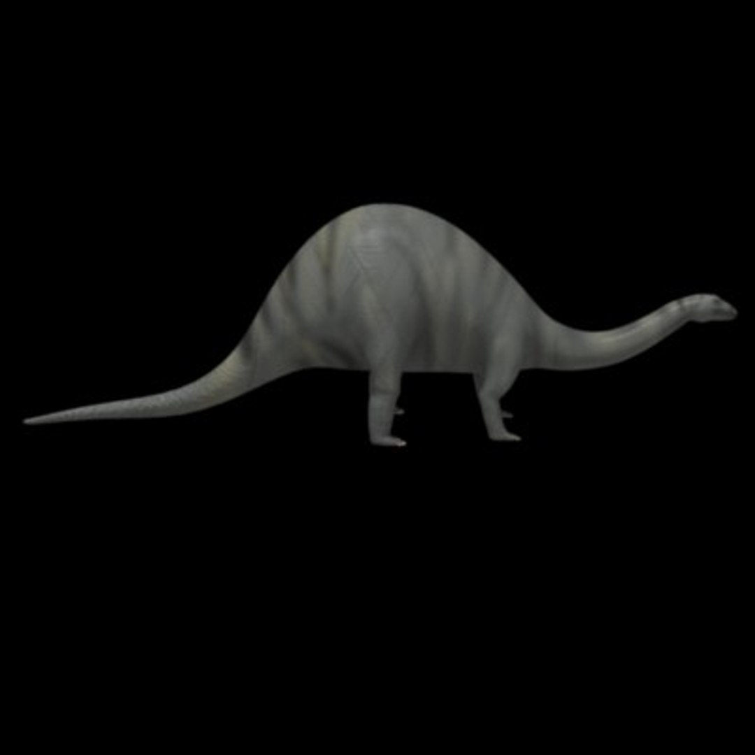 Brontosaurus 3d Model