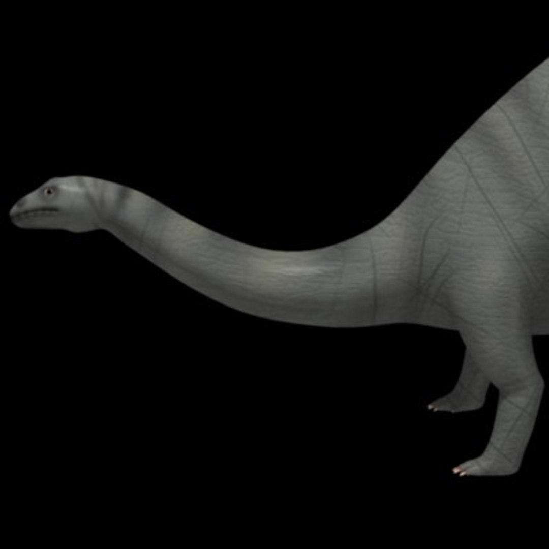 Brontosaurus 3d Model