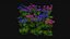 Flowers R10